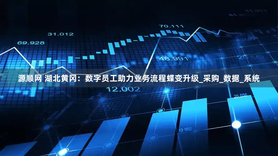 源顺网 湖北黄冈：数字员工助力业务流程蝶变升级_采购_数据_系统