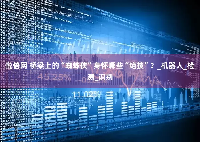 悦倍网 桥梁上的“蜘蛛侠”身怀哪些“绝技”？_机器人_检测_识别