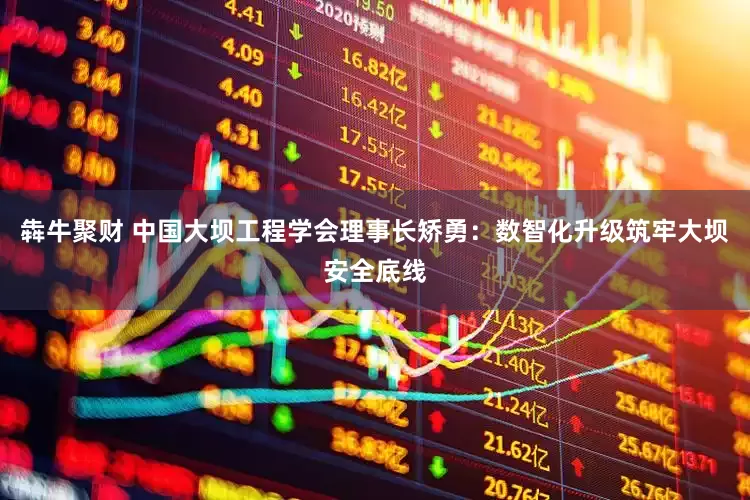犇牛聚财 中国大坝工程学会理事长矫勇：数智化升级筑牢大坝安全底线