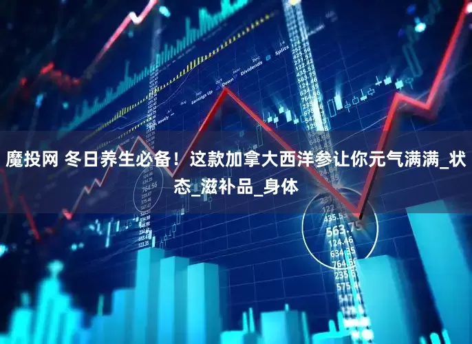 魔投网 冬日养生必备！这款加拿大西洋参让你元气满满_状态_滋补品_身体