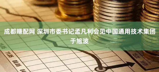成都赚配网 深圳市委书记孟凡利会见中国通用技术集团于旭波